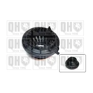 QUINTON HAZELL QAM169