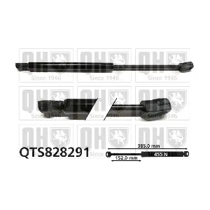 QTS828291 QUINTON HAZELL