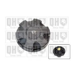 QUINTON HAZELL FC530