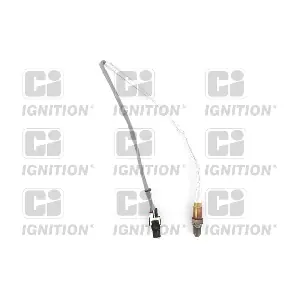 XLOS1798 QUINTON HAZELL