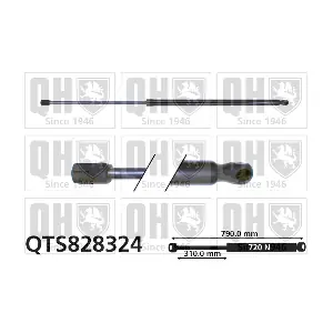 QTS828324 QUINTON HAZELL