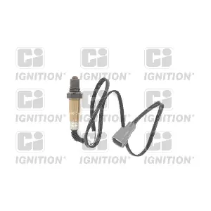 XLOS1597 QUINTON HAZELL