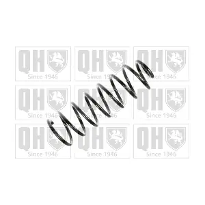 QUINTON HAZELL QCS6095