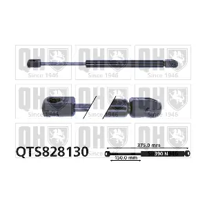 QTS828130 QUINTON HAZELL