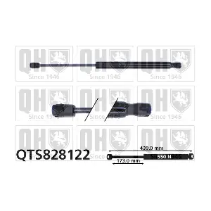 QTS828122 QUINTON HAZELL