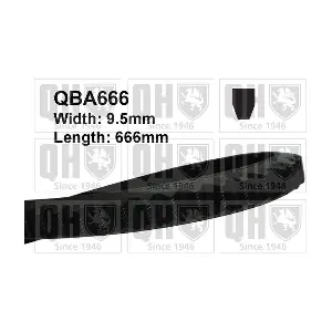 QUINTON HAZELL QBA666