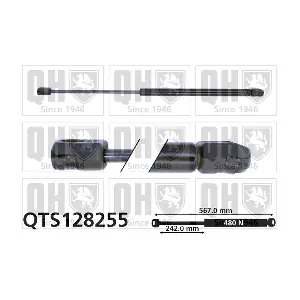 QTS128255 QUINTON HAZELL
