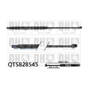 QTS828545 QUINTON HAZELL
