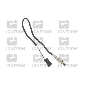 QUINTON HAZELL XLOS1008