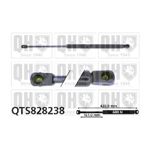 QTS828238 QUINTON HAZELL