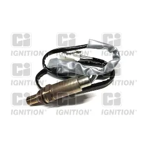 XLOS1480 QUINTON HAZELL