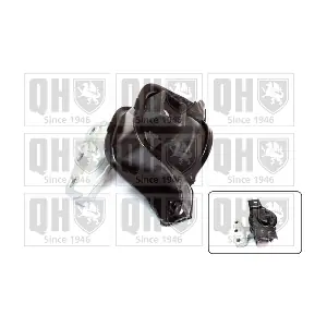 QUINTON HAZELL EM4461