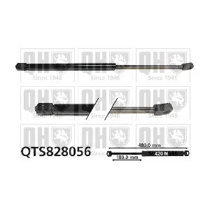 QTS828056 QUINTON HAZELL