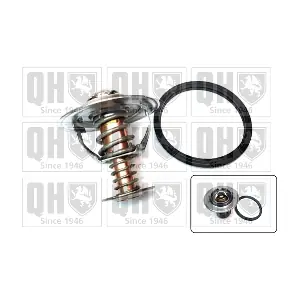QUINTON HAZELL QTH499K
