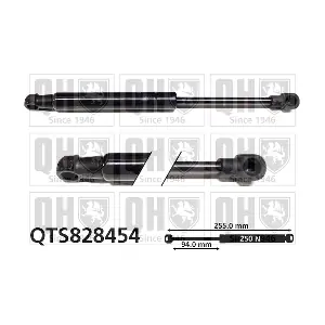QUINTON HAZELL QTS828454