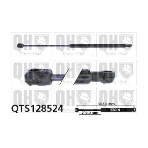 QTS128524 QUINTON HAZELL