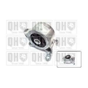 QUINTON HAZELL EM4645