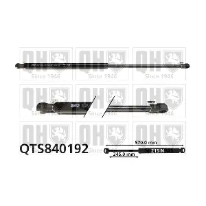 QTS840192 QUINTON HAZELL
