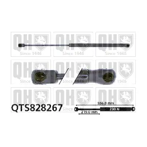 QUINTON HAZELL QTS828267