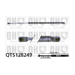 QTS128249 QUINTON HAZELL