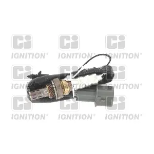 XLOS1673 QUINTON HAZELL
