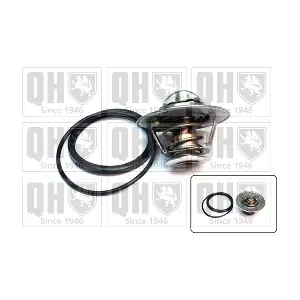 QUINTON HAZELL QTH484K
