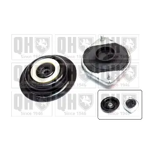 QUINTON HAZELL EMA2287