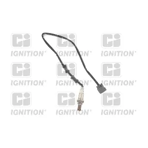 XLOS1645 QUINTON HAZELL
