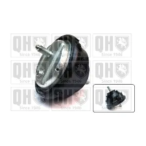 QUINTON HAZELL EM4341