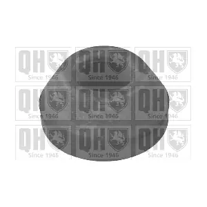 EMS8047 QUINTON HAZELL