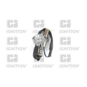 XLOS1559 QUINTON HAZELL