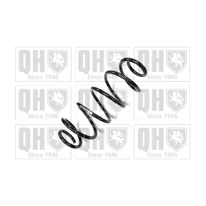QCS6394 QUINTON HAZELL
