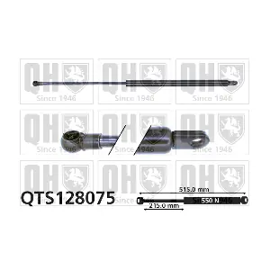 QTS128075 QUINTON HAZELL