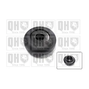 QUINTON HAZELL QAM166