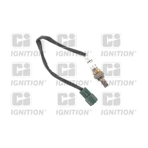 XLOS1579 QUINTON HAZELL