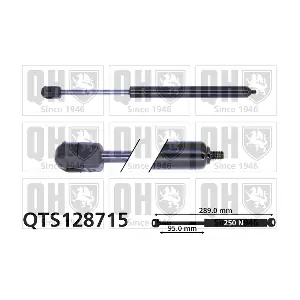 QTS128715 QUINTON HAZELL