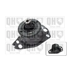 QUINTON HAZELL EM3147