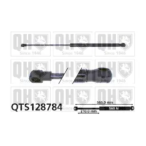 QUINTON HAZELL QTS128784