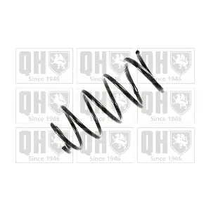 QCS8209 QUINTON HAZELL
