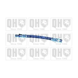 QUINTON HAZELL BFH1033