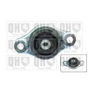 QUINTON HAZELL EM4566