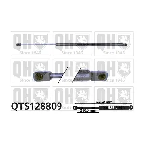 QTS128809 QUINTON HAZELL