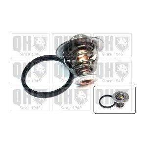 QTH495K QUINTON HAZELL