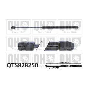 QTS828250 QUINTON HAZELL
