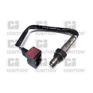 XLOS1416 QUINTON HAZELL