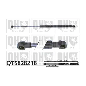 QTS828218 QUINTON HAZELL