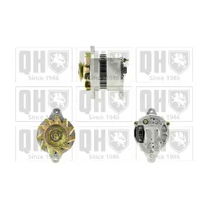 QUINTON HAZELL QRA2101