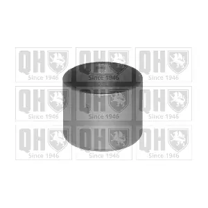 EMS8119 QUINTON HAZELL