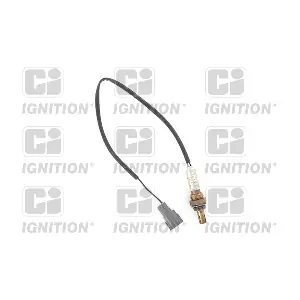 QUINTON HAZELL XLOS1254