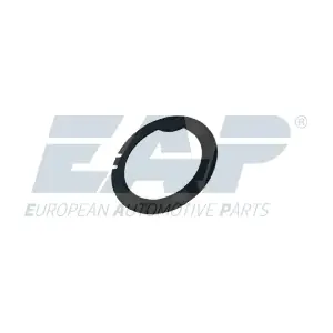 EAP00387 EAP